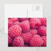 Fresh raspberries postkarte (Vorne/Hinten)