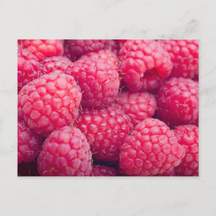 Fresh raspberries postkarte