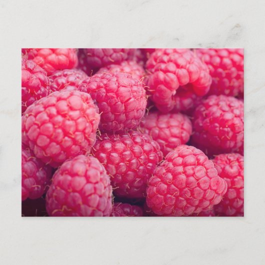 Fresh raspberries postkarte (Vorderseite)