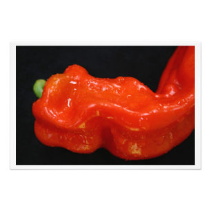 Fresh Red Bell Pepper Fotodruck