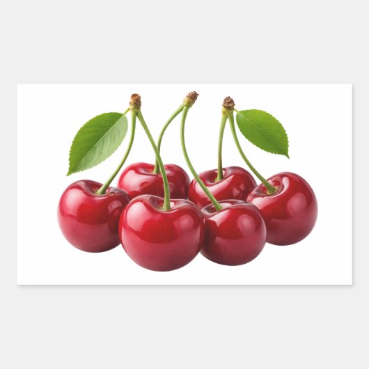 Fresh Red Cherries With Green Leaves Sticker (Vorderseite)