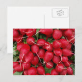 Fresh Red Radisson Postcard Postkarte (Vorne/Hinten)