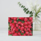 Fresh Red Radisson Postcard Postkarte (Stehend Vorderseite)