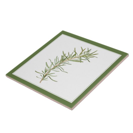 FRESH ROSEMARY 6x6 Keramik Tile (-text) Grün Fliese (Seite)