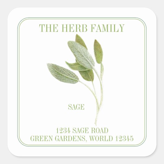 FRESH SAGE Small Square Address Umschlag Aufkleber (Vorderseite)