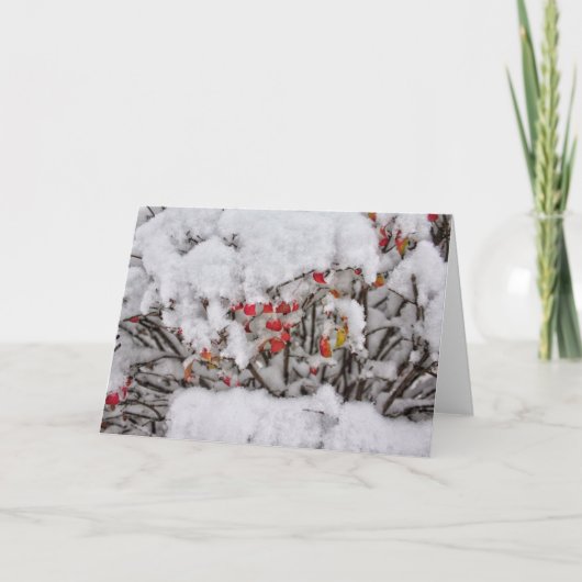 Fresh Snow Note Card Karte (Vorderseite)