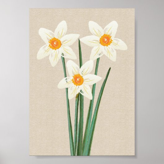 Fresh Spring Daffodin Poster (Vorne)