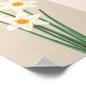 Fresh Spring Daffodin Poster (Ecke)