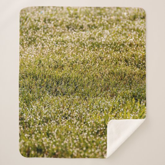 Fresh spring green grass background, with bokeh ef sherpadecke (Vorderseite)