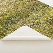 Fresh spring green grass background, with bokeh ef sherpadecke (3/4)