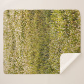 Fresh spring green grass background, with bokeh ef sherpadecke (Vorderseite (Horizontal))