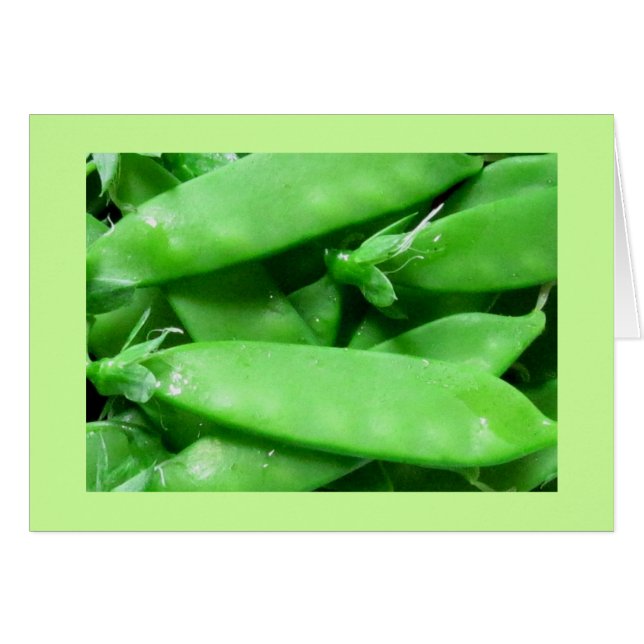 Fresh Spring Peel (Vorderseite (Horizontal))