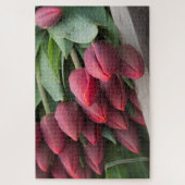 Fresh Spring Tulip Puzzle (Vertikal)