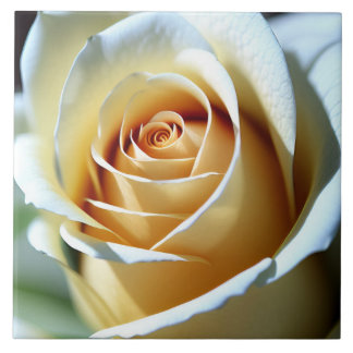 Fresh White Rose Fliese