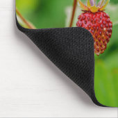 Fresh Wild Strawberry Growing Nah-up Foto Name Mousepad (Ecke)