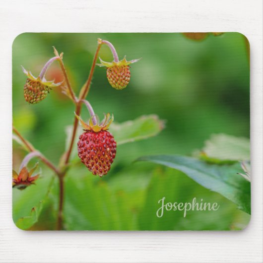 Fresh Wild Strawberry Growing Nah-up Foto Name Mousepad (Vorne)