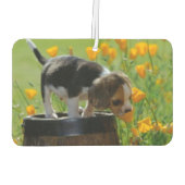 Freshener Autolufterfrischer (Rückseite)