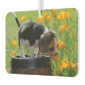 Freshener Autolufterfrischer (Links)