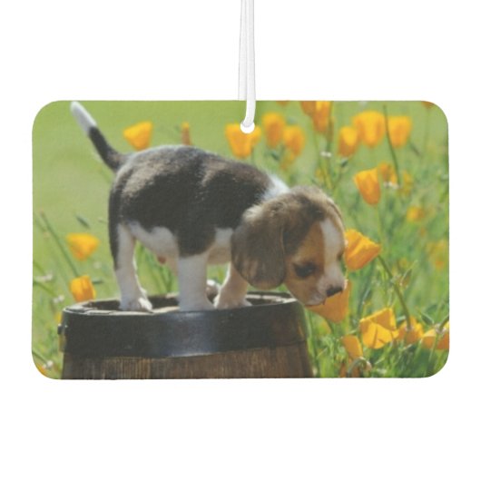 Freshener Autolufterfrischer (Vorderseite)