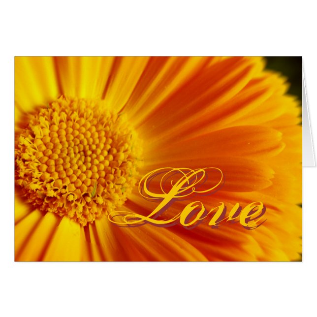 FreshLove Blume Card (Vorderseite (Horizontal))