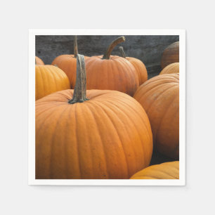 Freshly-Harvested Herbst Orange Pumpkins Serviette