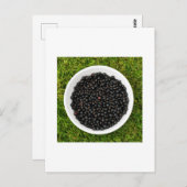 Freshly Picked Blackcurrants Postkarte (Vorne/Hinten)