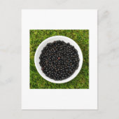 Freshly Picked Blackcurrants Postkarte (Vorderseite)