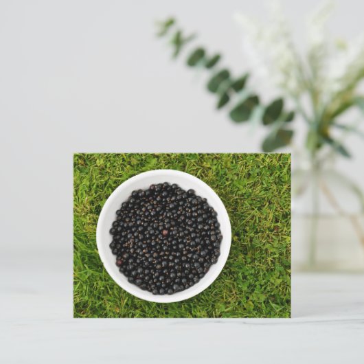 Freshly Picked Blackcurrants Postkarte (Stehend Vorderseite)