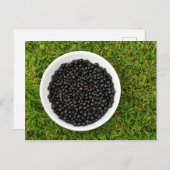 Freshly Picked Blackcurrants Postkarte (Vorne/Hinten)
