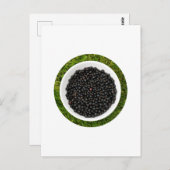 Freshly Picked Blackcurrants Postkarte (Vorne/Hinten)
