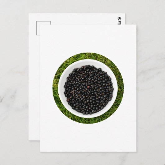 Freshly Picked Blackcurrants Postkarte (Vorne/Hinten)