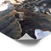 Freshwater Clamshells Poster (Ecke)