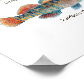 Freshwater Darter Art Poster (Ecke)
