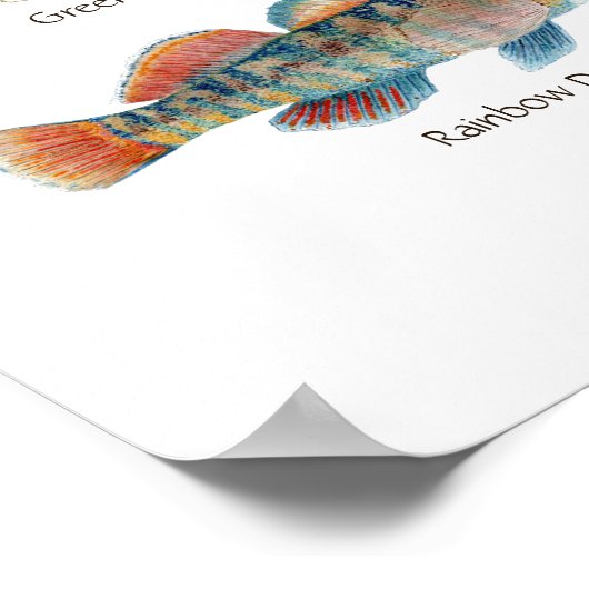 Freshwater Darter Art Poster (Ecke)