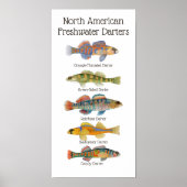 Freshwater Darters Art Poster (Vorne)