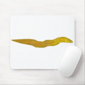 Freshwater Moray Mousepad (Mit Mouse)