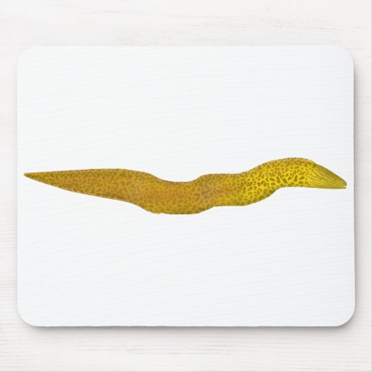 Freshwater Moray Mousepad (Vorne)