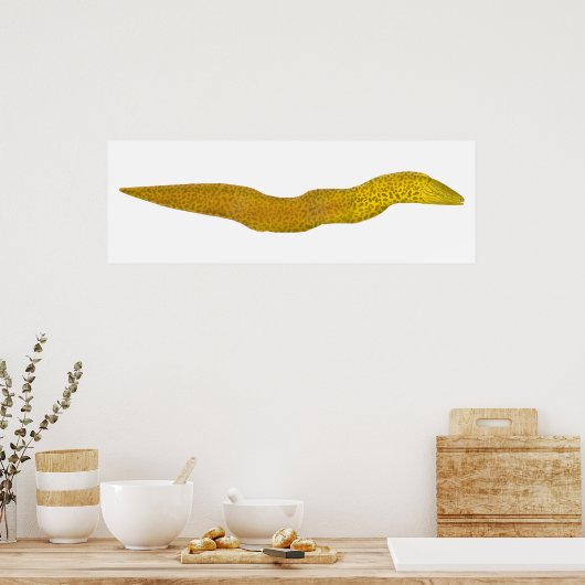 Freshwater Moray Poster (Küche)