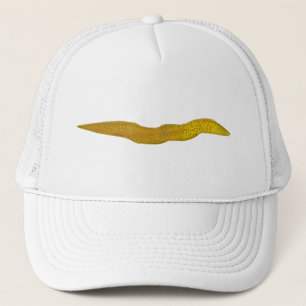 Freshwater Moray Truckerkappe