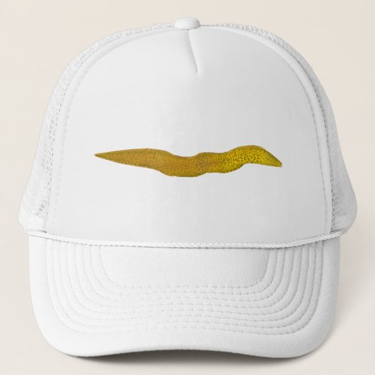 Freshwater Moray Truckerkappe (Vorderseite)