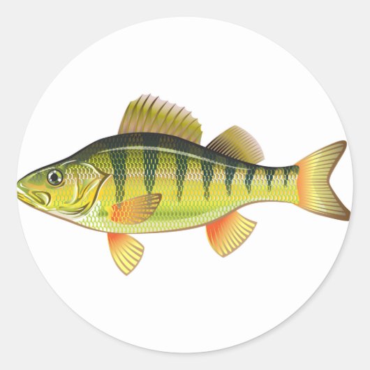 Freshwater Yellow Perle Vector Grafikdesign Runder Aufkleber (Vorderseite)