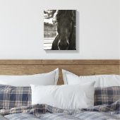 Fresian Horse Foto Canvas Print Leinwanddruck (Insitu (Schlafzimmer))