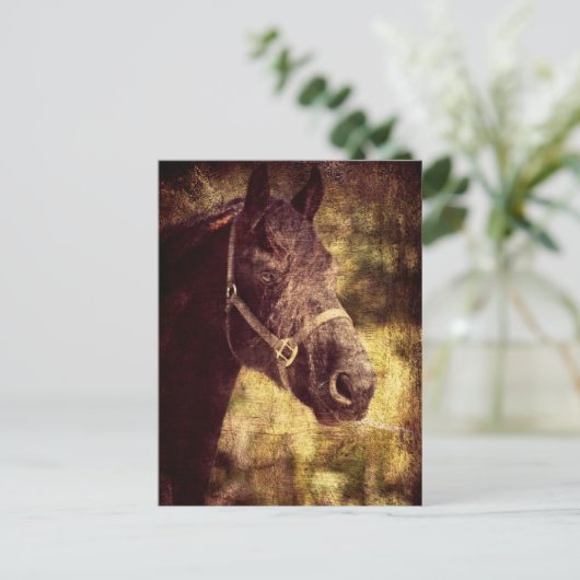 Fresisches Pferd Postkarte (Stehend Vorderseite)