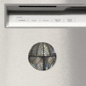 Fresnel Lens Magnet (In Situ (Geschirrspüler))