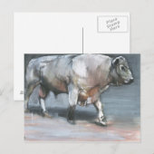 Fresno Galloway Bull Postkarte (Vorne/Hinten)