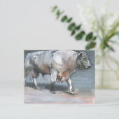 Fresno Galloway Bull Postkarte (Stehend Vorderseite)