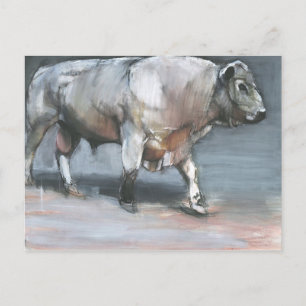 Fresno Galloway Bull Postkarte