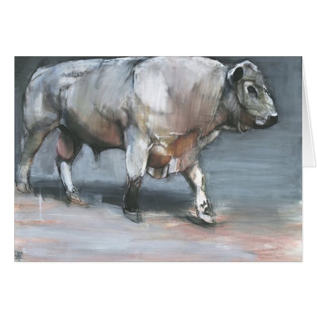 Fresno Galloway Stier (Vorderseite (Horizontal))