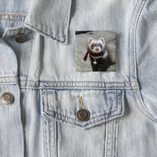 Frettchen Button (Beispiel)