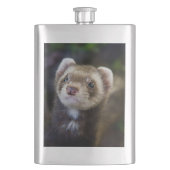 Frettchen Flachmann (Vorderseite)